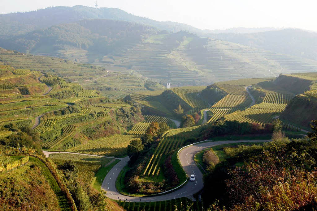 20 Kunstwerke für den Kaiserstuhl Ihringen Badische Zeitung