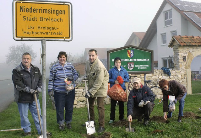 Unter dem Motto &#8222;Unser Dorf soll... Blumenzwiebeln an den Ortseinfahrten.  | Foto: sarah-lena stein