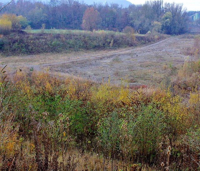 Die ehmalige Kiesgrube am Ortsrand von...entstehen, aber ein begehbarer Biotop.  | Foto: Rolf Reimann