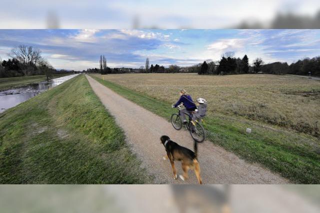 Rte wollen dichtere Bebauung