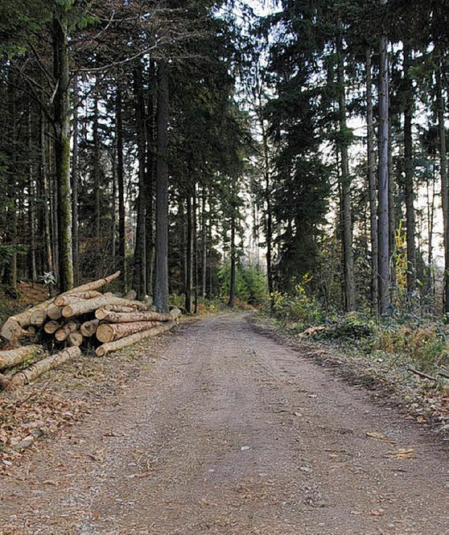 Ein aufgerumter Wald bei Gnnenbach: ...n Teil des Gerichtsvergleich erfllt.   | Foto: Ralph Fautz