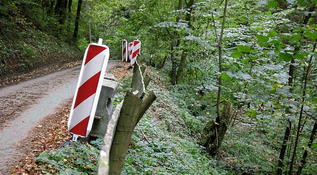 Um die Bschungssicherung geht es in d...trae zwischen Eichsel und Adelhausen.  | Foto: Petra Wunderle