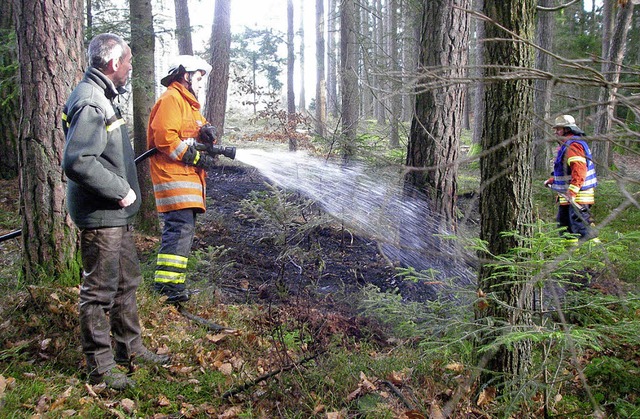 In ein Waldstck im Drnet im Stadttei...ld Revierfrster Karl-Ulrich Mntele.   | Foto: Feuerwehr Laufenburg