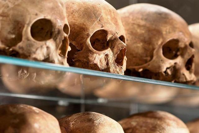 Skelette erzhlen in einer Basler Ausstellung Geschichten