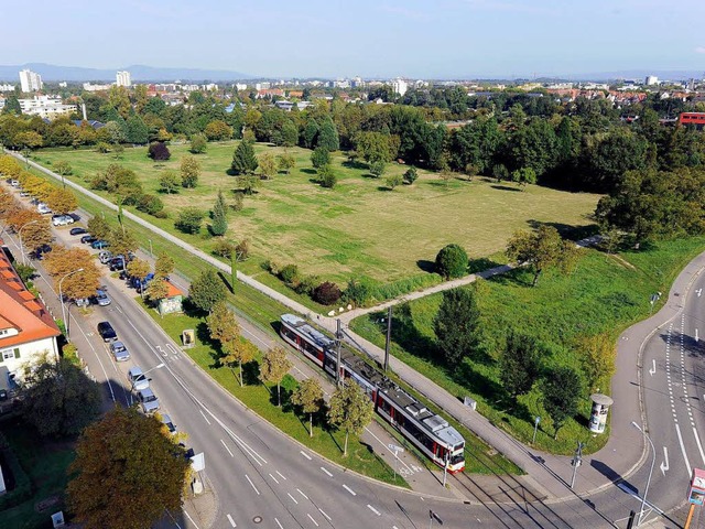 Was bedeutet die Forderung fr das Neubaugebiet Gutleutmatten in Haslach?  | Foto: Ingo Schneider