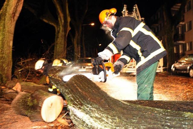 Schden durch Orkanben in Sdbaden