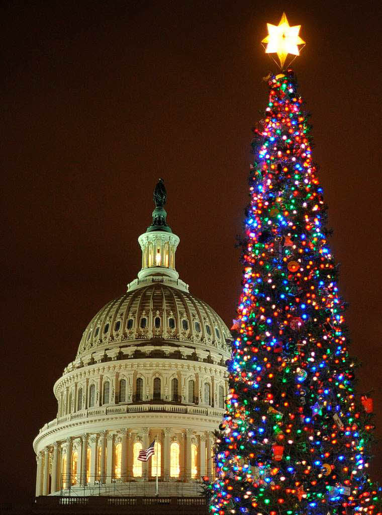 Der Weihnachtsbaum vor dem Capitol in Washington