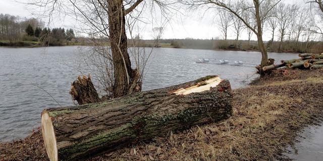 Gefllt wegen des Laubs: Angeblich ver...ellaub den Sauerstoffgehalt erheblich.  | Foto: Ch. Breithaupt