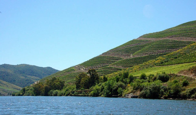 Grnes Portugal: Der Rio Douro speist die Region, an den Bergen wchst der Wein.  | Foto: Lucas Grothe