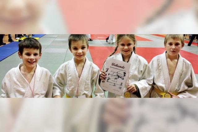 Junge Judoka holen Medaillen