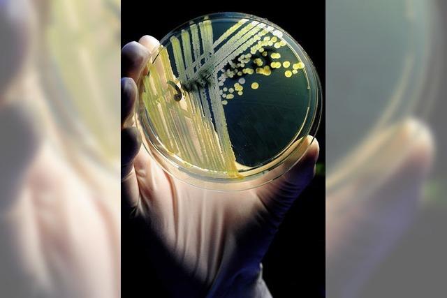 Spuk aus dem Mikroben-Reich