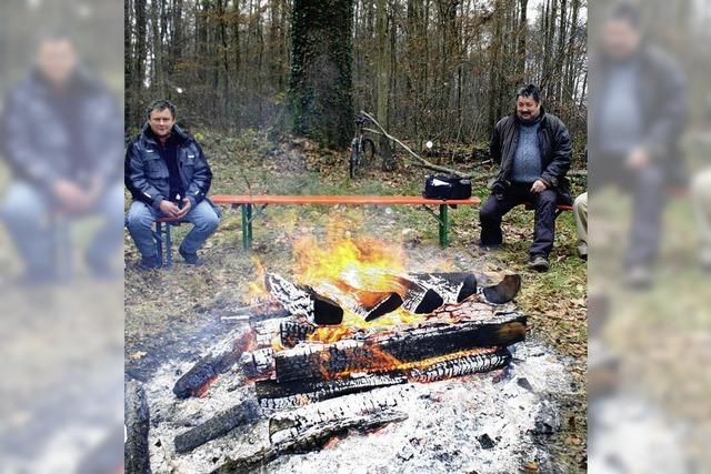 Das Holz kam gnstig unter den Hammer