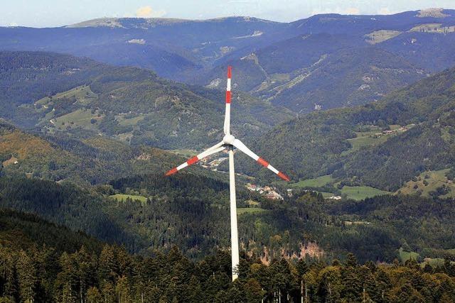 Volle Windkraft voraus