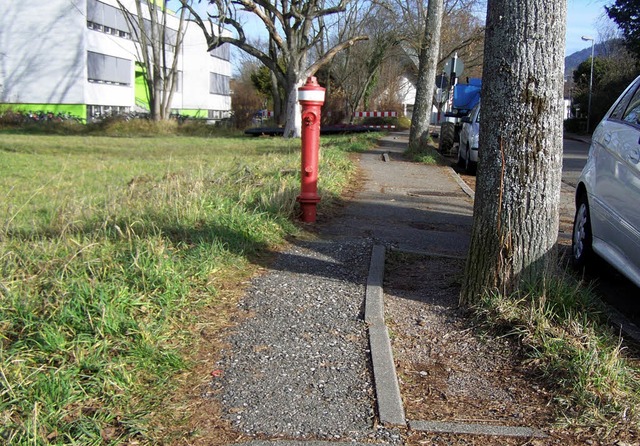 Wo ist hier denn der Gehweg? Die paar ...en dem Baum knnen es wohl kaum sein!   | Foto: Sylvia timm