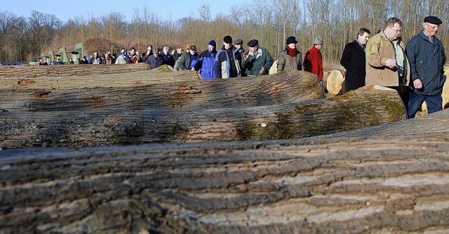 Ob bei der Holz-Submission im kommende... werden kann, ist derzeit noch offen.   | Foto: Siefke