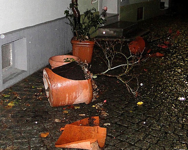 Blumenkbel wurden  in der Schnaugasse zerstrt.   | Foto: CH. Haus