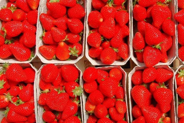 Rekordjahr fr den Obstgromarkt Mittelbaden