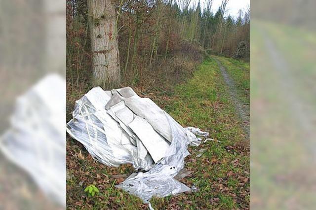 Asbestplatten einfach im Wald abgeladen