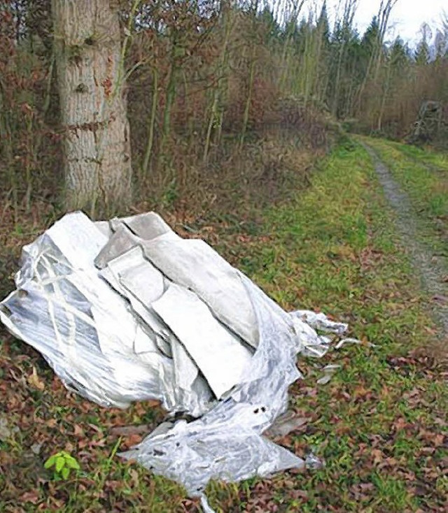 Bislang unbekannte Tter haben diese A... Die Polizei hofft auf Zeugenhinweise.  | Foto: Polizei