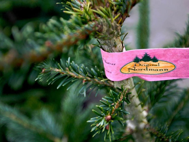 In Weihnachtsbaumkulturen werden auch Pestizide eingesetzt.   | Foto: dpa
