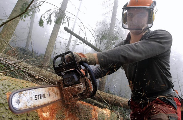 Ein Arbeiter im Wald  | Foto: ddp