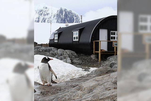 Die Antarktis – 100 Jahre nach der Eroberung des Südpols