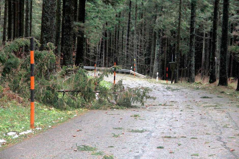 Das Orkantief &amp;quot;Joachim&amp;quot; hat auch im Landkreis Emmendingen Sch�den angerichtet. (Foto: Hans-Peter Ziesmer)
