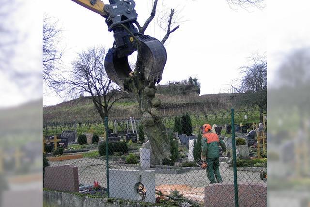 Umgestaltung des Friedhofs wird angegangen