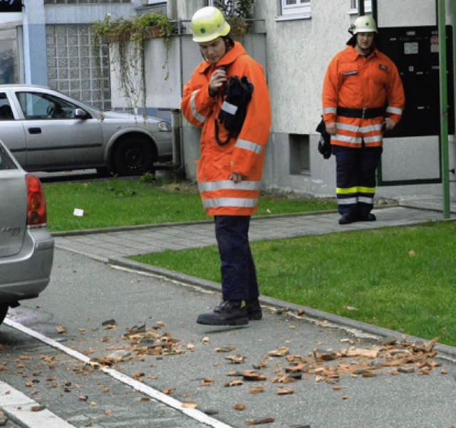 Einige Dcher berstanden den Sturm nicht unbeschadet.  | Foto: Ingrid Bhm-Jacob