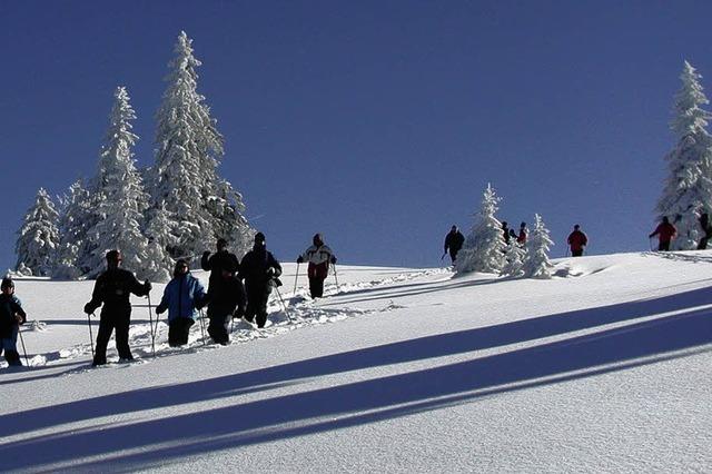 Leichtfig durch den tiefen Schnee