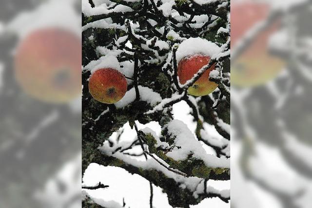 VON 1 BIS 24: Schnee macht die Nacht noch stiller