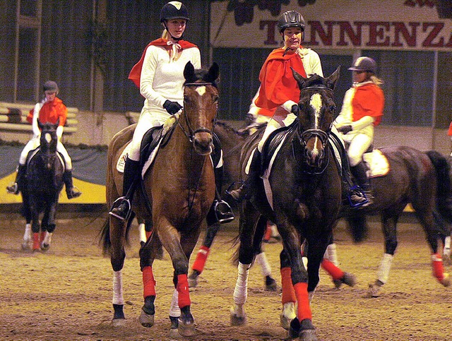 Die Dressur-Quadrille wurde mit viel Applaus bedacht.   | Foto: Heidi Fssel