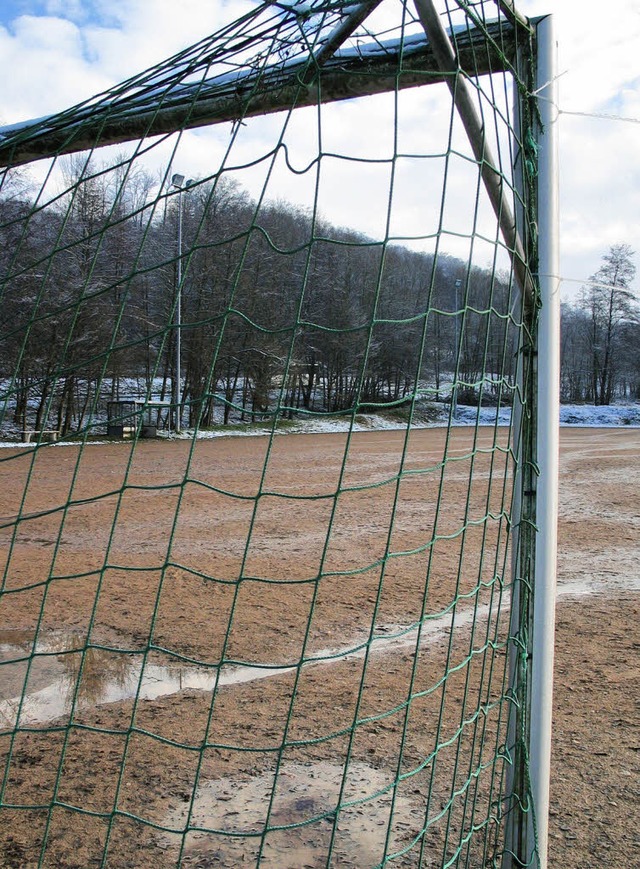 Hartplatz des SV Liel-Niedereggenen: Die Pftzen sollen weg.  | Foto: Schtz