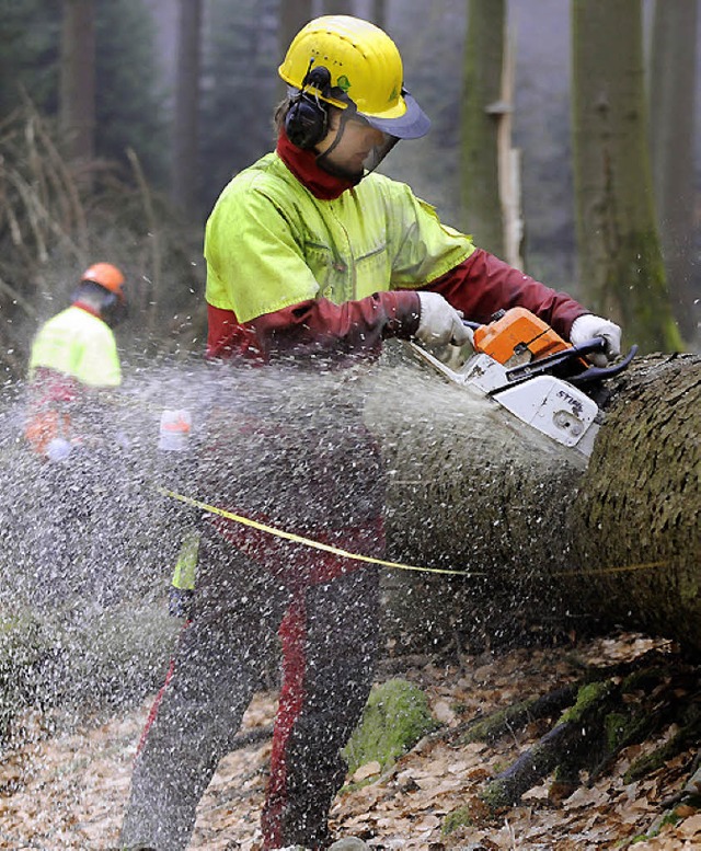 Auch im nchsten Jahr soll sich die Arbeit im Wald lohnen.   | Foto: dpa