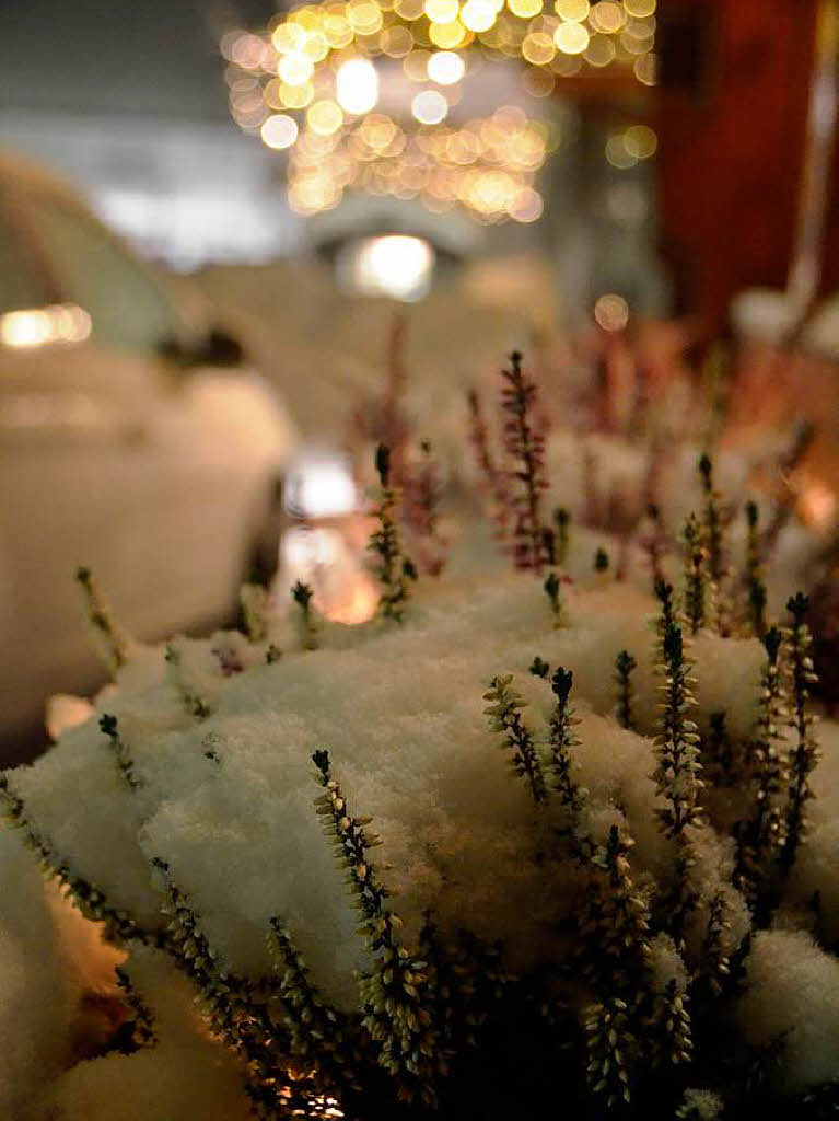 Schnee und Lichter: da kommt Weihnachtsstimmung auf