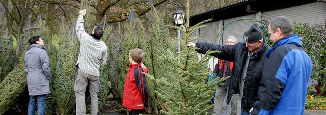 Die Christbume fanden in Endingen reienden Absatz.  | Foto: Roland Vitt