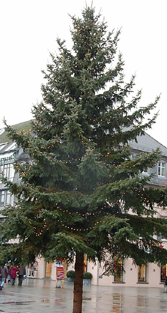 Der Weihnachtsbaum &#8211; auch im ff...&#8211; ist fr viele  unverzichtbar.   | Foto: Nikolaus Trenz
