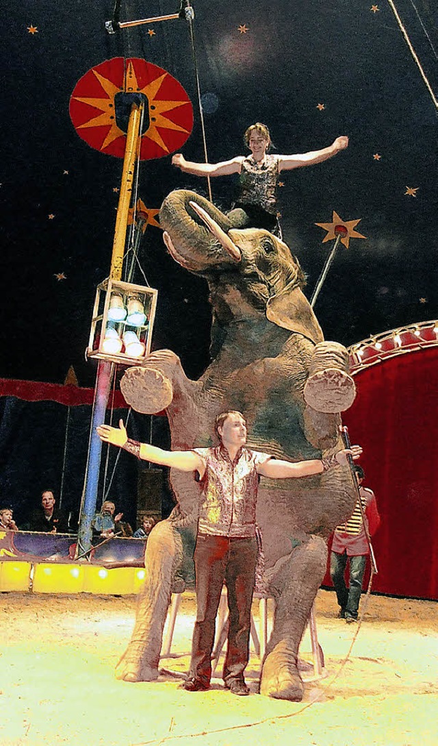 Einer der tierischen Stars des Circus Luna ist Elefant Benjamin.  | Foto: Freudig