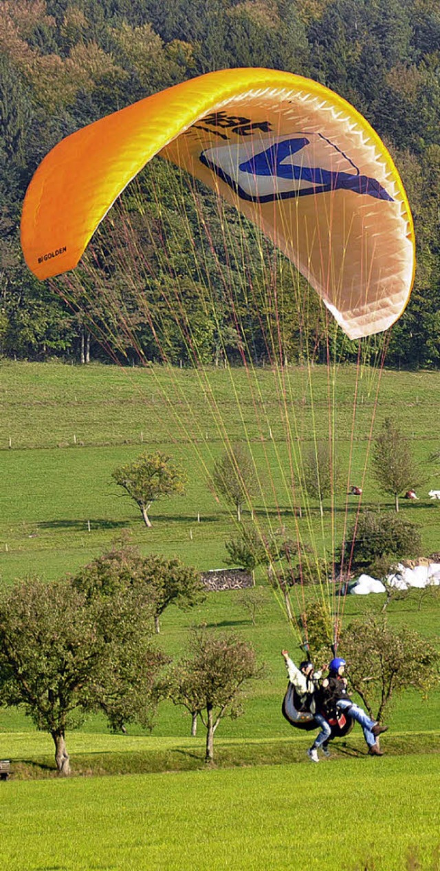 Gleitschirmflieger im Anflug auf den Landeplatz Heimeck.   | Foto: H. Bleyer