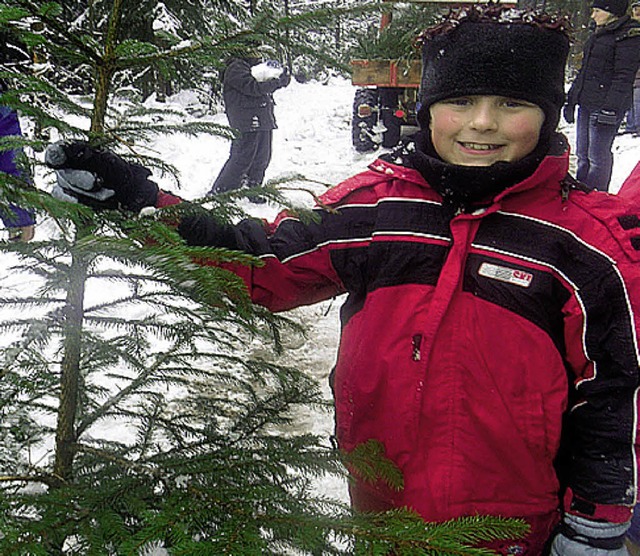 Ist der nicht schn? Marvin hat seinen Baum gefunden.   | Foto: Schule