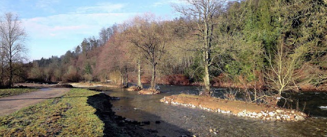 Entfesselt: Die Wiese hat im Bereich M...ht bekommen und Nebenarme entwickelt.   | Foto: Silke Hartenstein