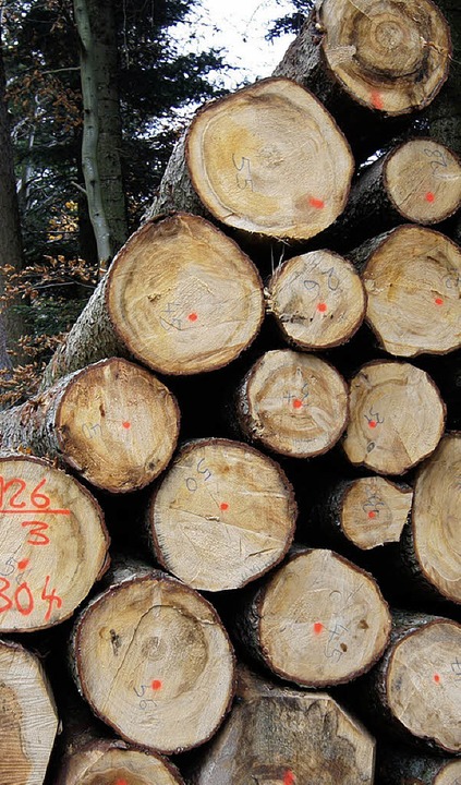 Bernauer Waldbesitzer, unter ihnen die...ngsbau des Traditionshotels  Schwanen.  | Foto: Matthias Hiekel / Kristin Fritz / Ulrike Spiegelhalter
