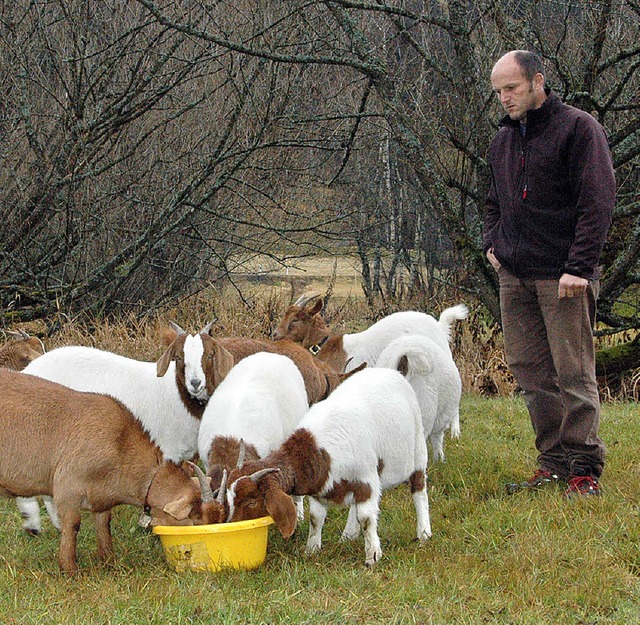Benno Kaisers Ziegen betreiben mit ihrem Hunger Landschaftspflege.   | Foto: Regine Ounas-Krusel