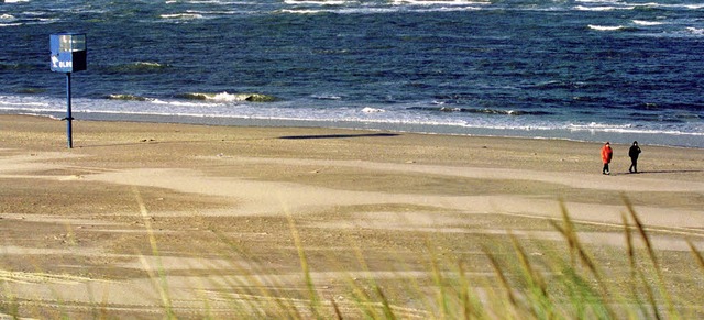 Auf der Nordseeinsel Spiekeroog ist mi...rte Nester und schlpfende Jungvgel.   | Foto: dpa