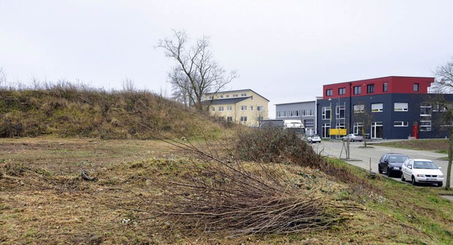 Die ehemalige Hausmlldeponie im Gewer... Veranstaltungsplatz umgebaut werden.   | Foto: Gerhard Walser