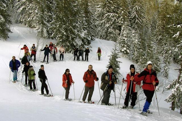Wintersportler zeigen sich sensibel in der Natur