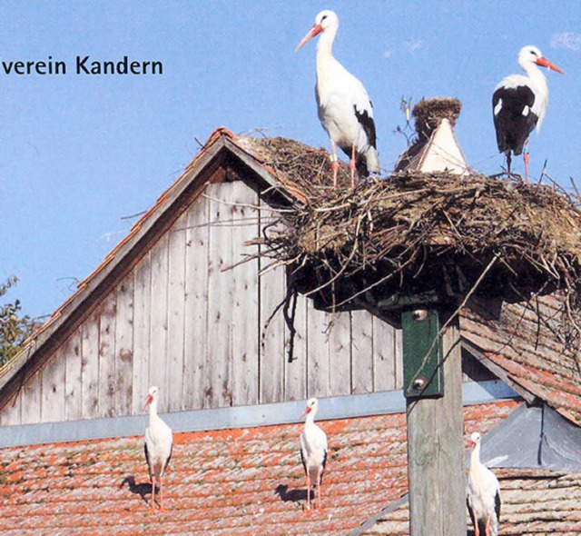 Dem Storchendorf Holzen ist nach ber ...s Schwarzwaldvereins Kandern gewidmet.  | Foto: Bronner