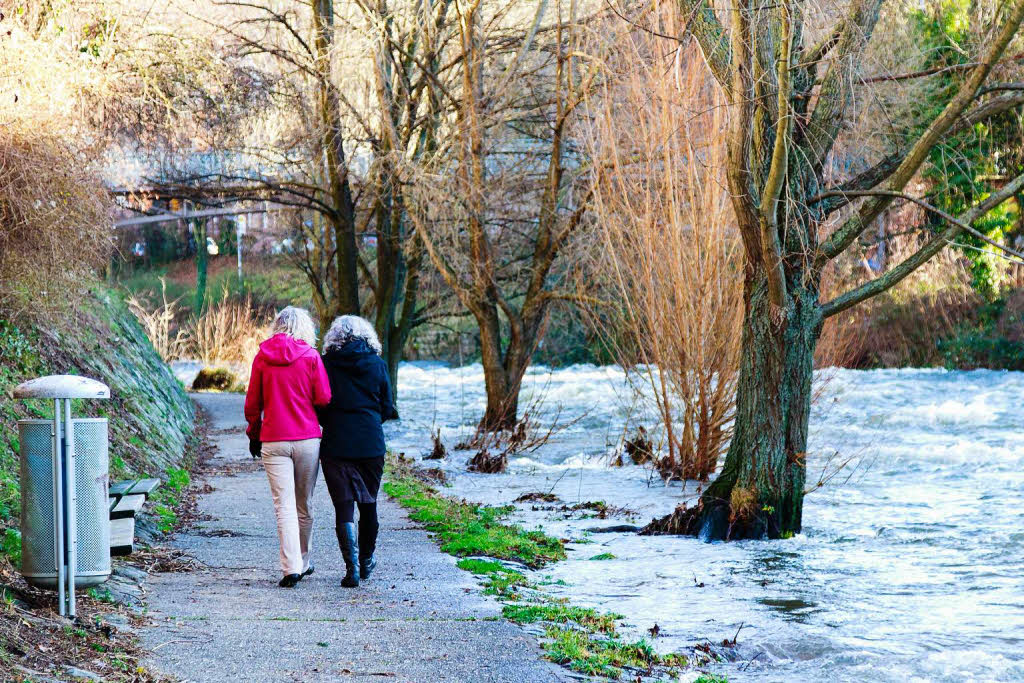 Hochwasser am Dreisamufer: Der Pegel lag am 3. Januar bei ber einem Meter. Zum Vergleich: Drei Tage zuvor waren es noch 56,5 Zentimeter. Noch hher stand das Wasser am 2. Januar, nmlich bis zu 1,2 Meter.