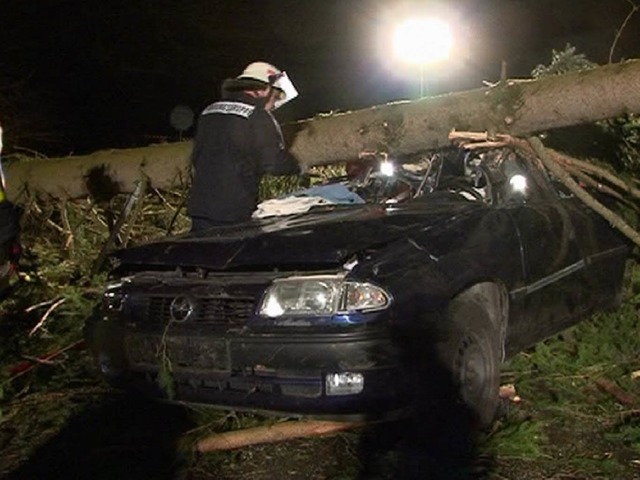 Schwerer Unfall im Kinzigtal: Der Fahr... einem umstrzenden Baum auszuweichen.  | Foto: Kamera24.TV