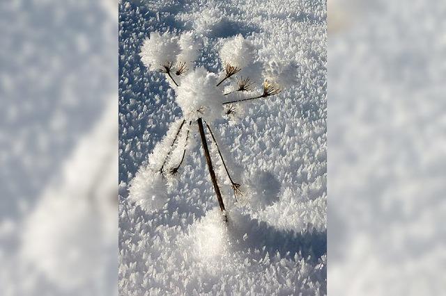 Aus Winter der Salzknappheit wurde gelernt